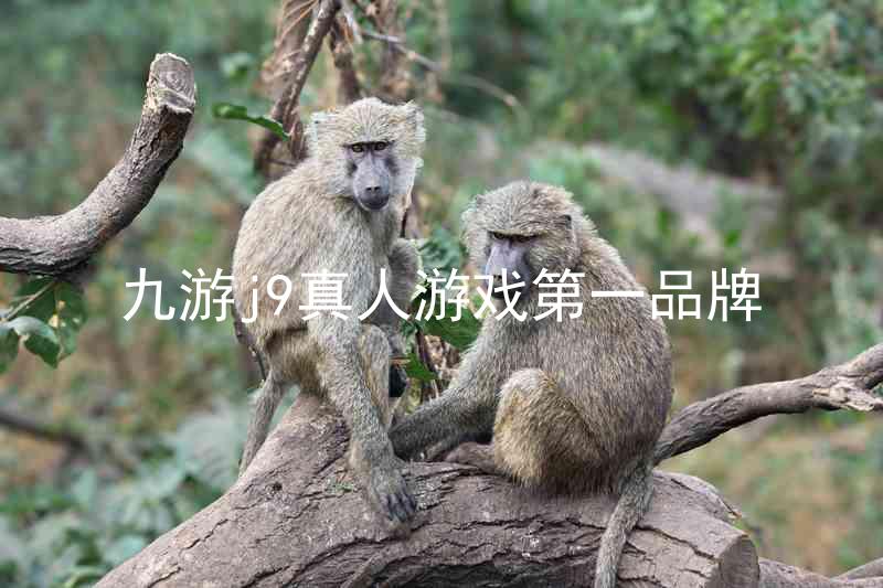 九游j9真人游戏第一品牌