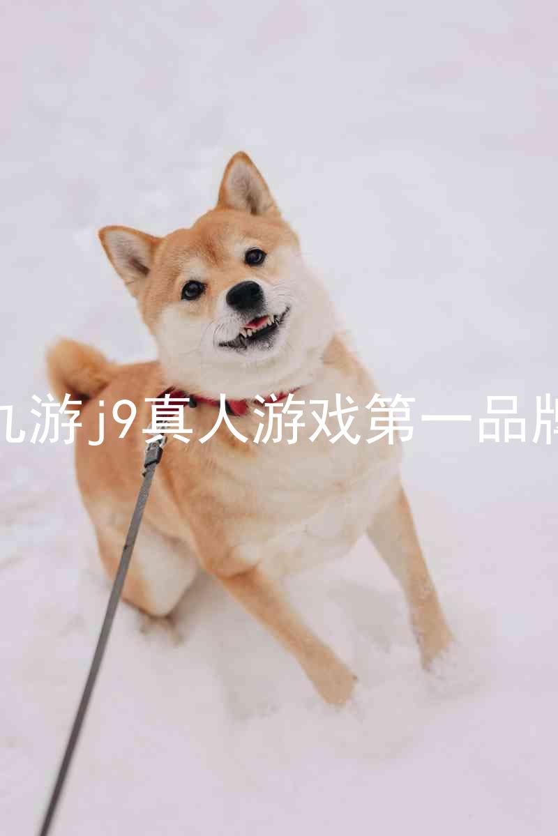 九游j9真人游戏第一品牌